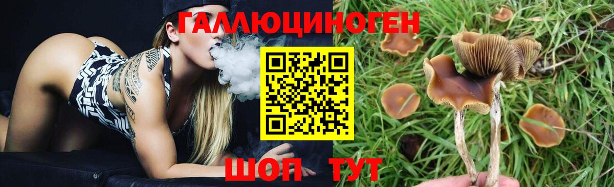 Псилоцибиновые грибы Magic Shrooms  Галлюциногенные грибы мицелий  Реж  Вход с VPN 